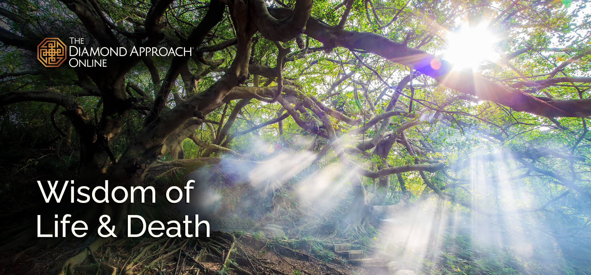 Wisdom of Life & Death